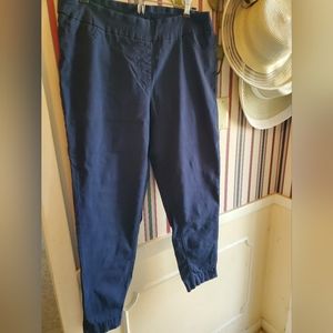 Soft Surroundings Capri pants